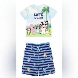 Bluey Character T-Shirt & Shorts Outfit Set – Size 5T